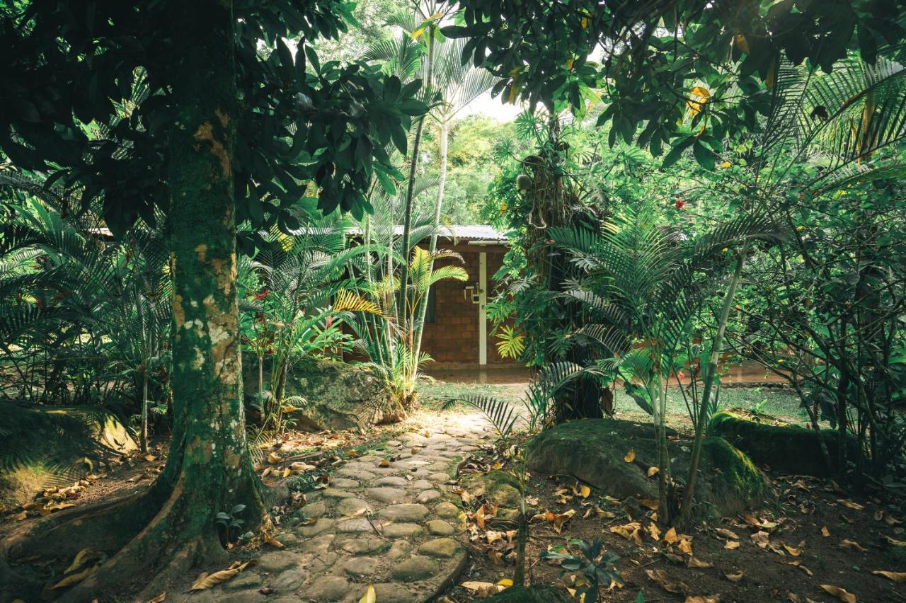 Huingos Eco Lodge Tarapoto Bagian luar foto