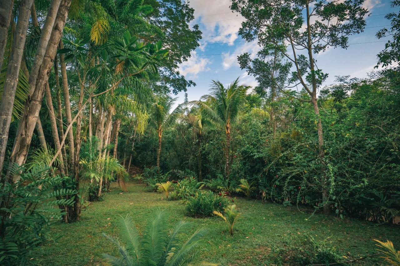 Huingos Eco Lodge Tarapoto Bagian luar foto