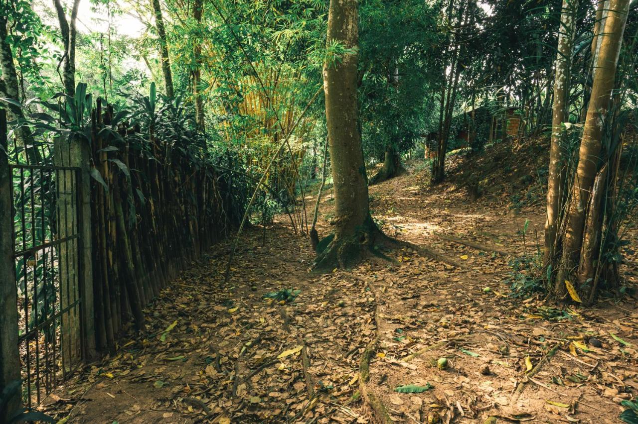 Huingos Eco Lodge Tarapoto Bagian luar foto