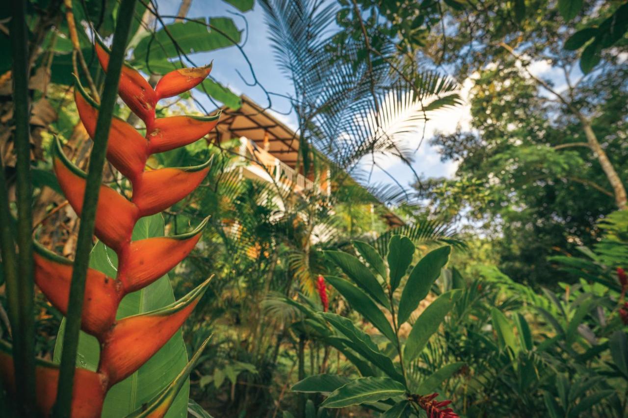 Huingos Eco Lodge Tarapoto Bagian luar foto