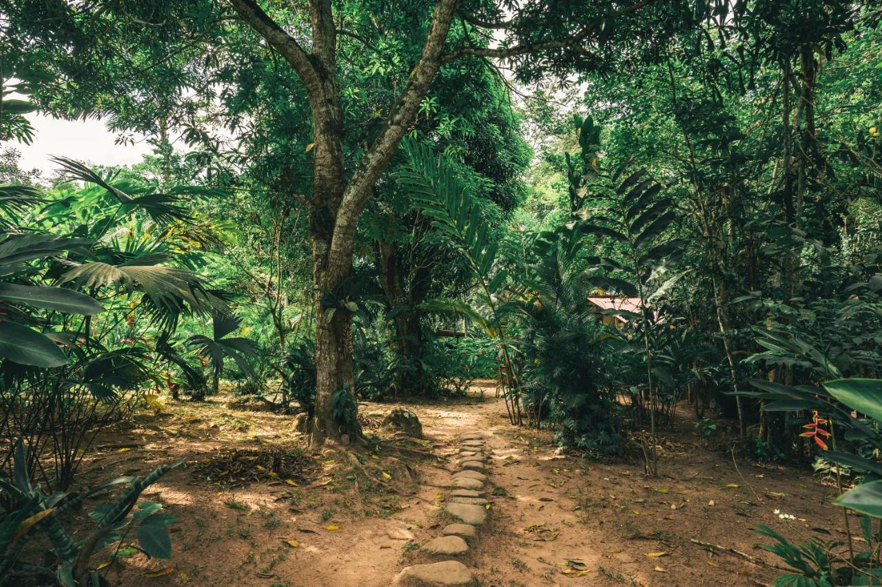 Huingos Eco Lodge Tarapoto Bagian luar foto