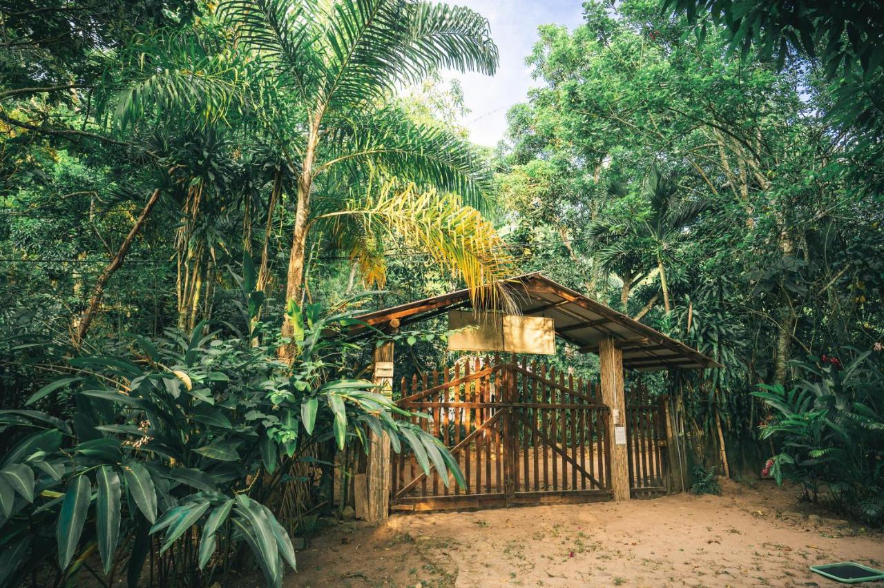 Huingos Eco Lodge Tarapoto Bagian luar foto