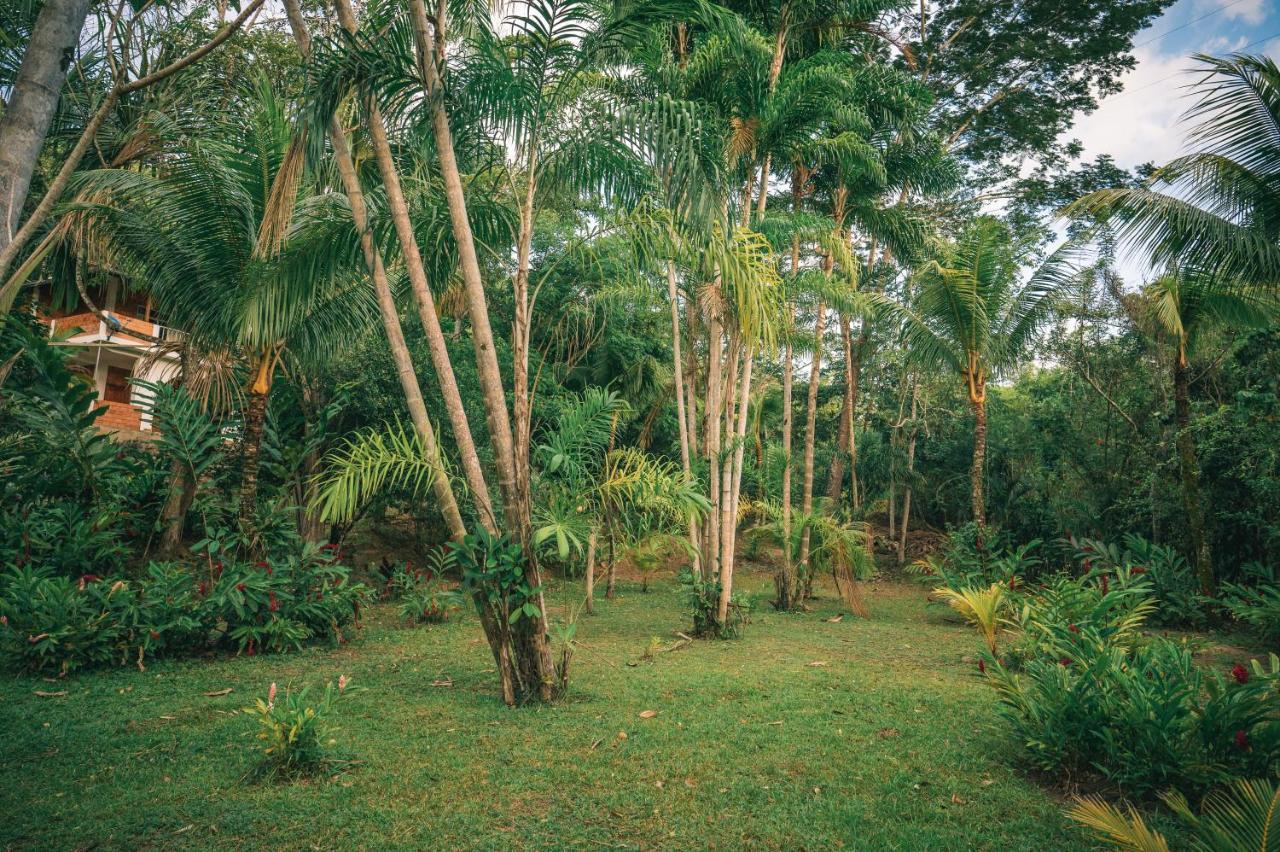 Huingos Eco Lodge Tarapoto Bagian luar foto