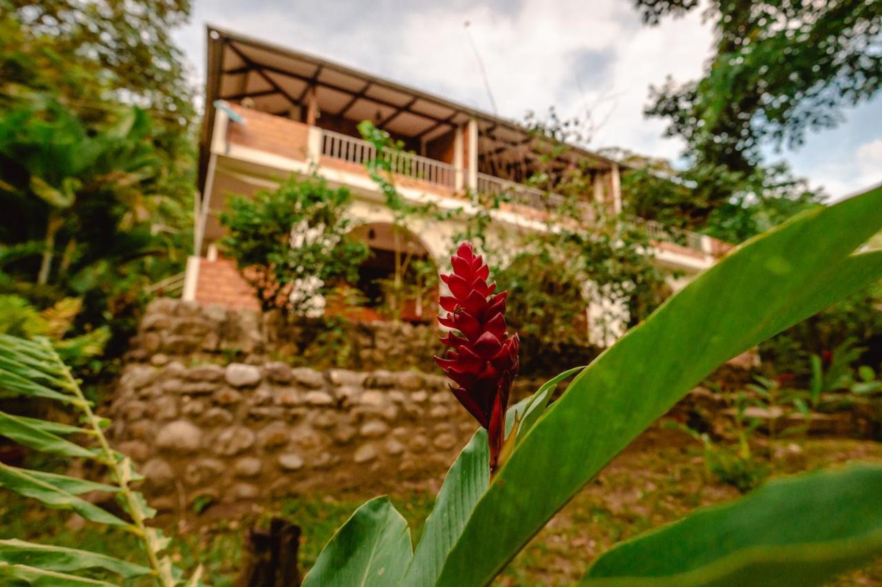 Huingos Eco Lodge Tarapoto Bagian luar foto