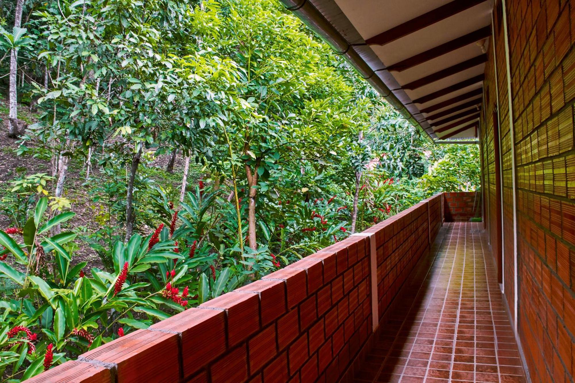 Huingos Eco Lodge Tarapoto Bagian luar foto