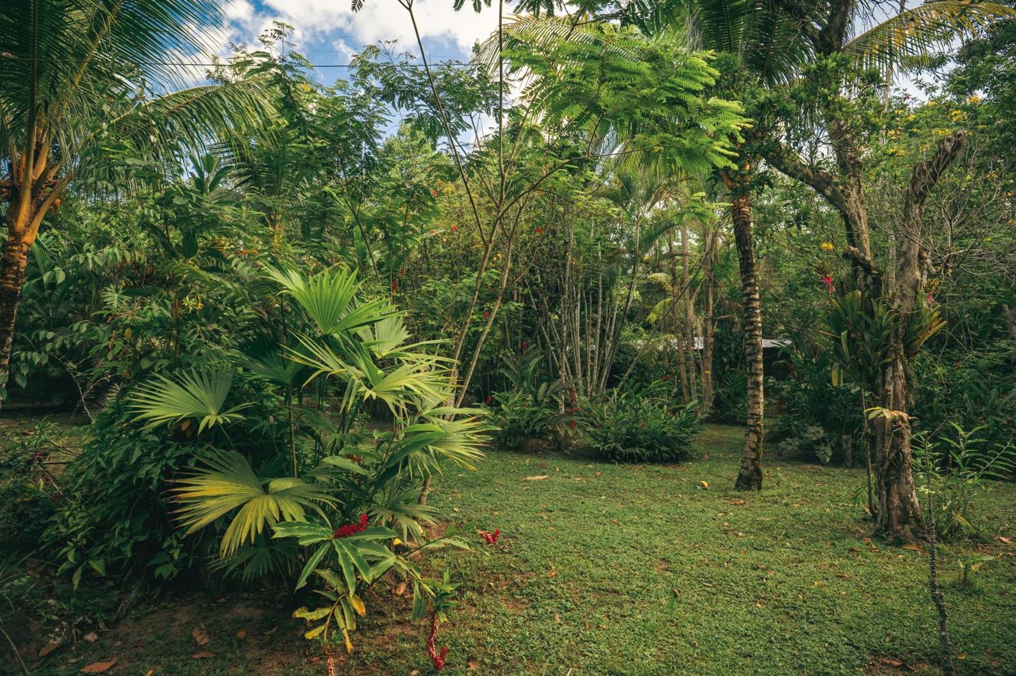 Huingos Eco Lodge Tarapoto Bagian luar foto