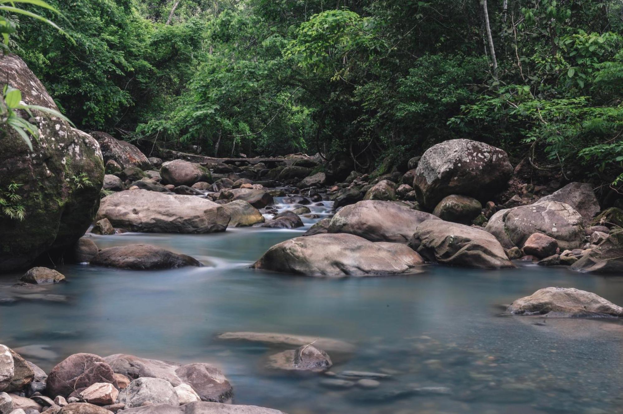 Huingos Eco Lodge Tarapoto Bagian luar foto