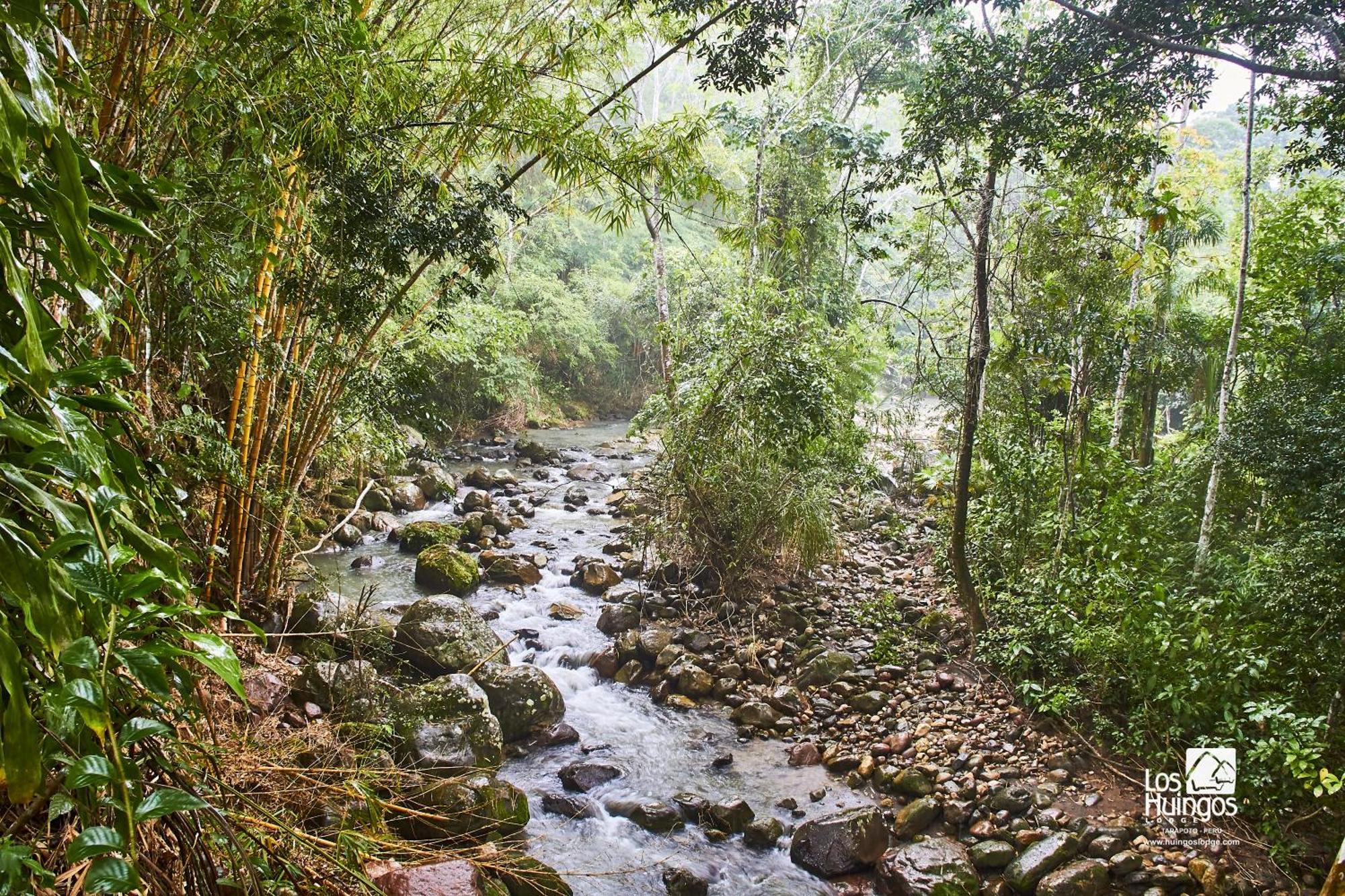 Huingos Eco Lodge Tarapoto Bagian luar foto