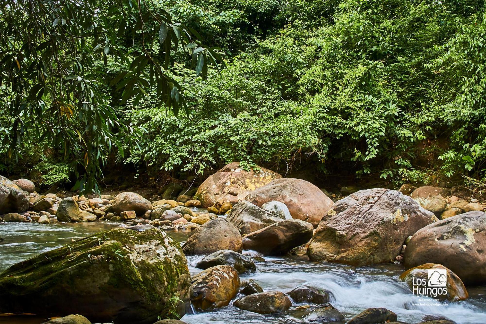 Huingos Eco Lodge Tarapoto Bagian luar foto